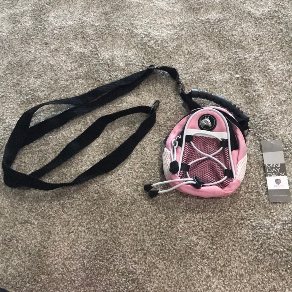 Mini day pack